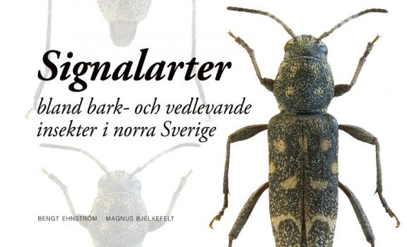 Signalarter bland bark och vedlevande insekter - framsida