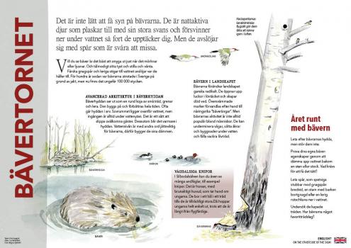 Naturskylt Silbodalälven - bävertornet(bild Lisa Behrenfeldt)