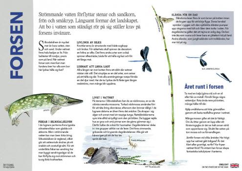 Naturskylt Silbodalälven - forsen(bild Lisa Behrenfeldt)