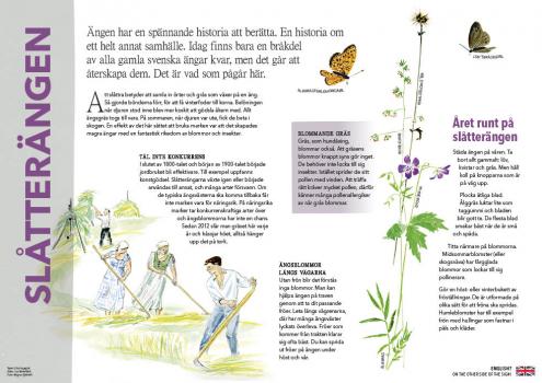 Naturskylt Silbodalälven - slåtterängen(bild Lisa Behrenfeldt)