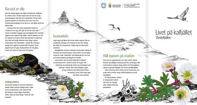 Broschyr om Vindelfjällen - kalfjället(bild Lisa Behrenfeldt)