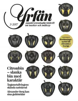 Yrfän 3/2017 - framsida(bilder Johanna Yourstone)