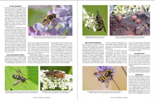 Yrfän 1/2022 - uppslag blomflugor
