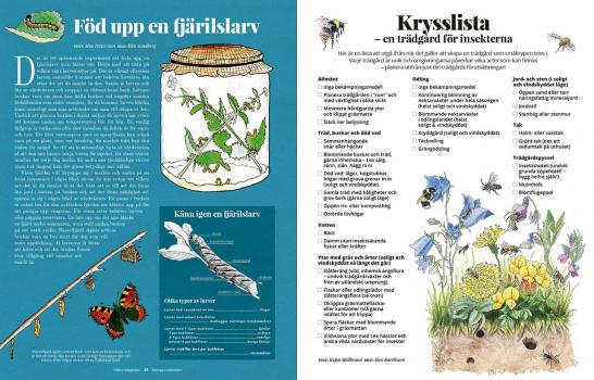 Yrfän i trädgården - uppslag med fjärilsuppfödning och krysslista(bilder Elin Sandberg och Kleo Bartilsson)