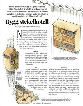 Yrfän i trädgården - artikel om stekelhotell(med Kleo Bartilsson)