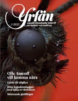 Yrfän 1/2025 - framsida(foto Olle Amcoff)